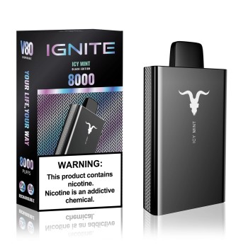 IGNITE V80 Ice Mint (Ледяная Мята)