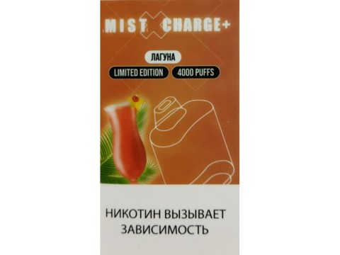 Новинка! Mist X Charge+ на 4000 затяжек