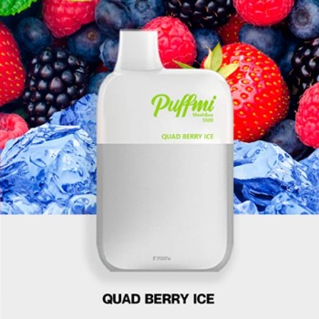 Puffmi DX5000 MeshBox Quad Berry (Ягодный Микс)