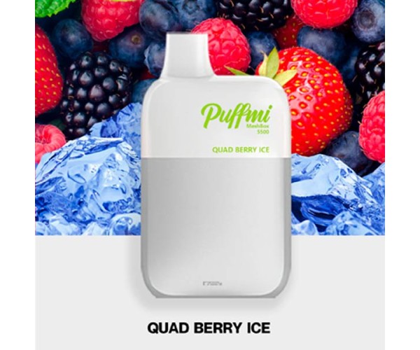 Puffmi DX5000 MeshBox Quad Berry (Ягодный Микс)