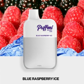 Puffmi DX5000 MeshBox Blueberry Raspberry (Черника, Малина)