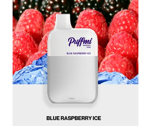 Puffmi DX5000 MeshBox Blueberry Raspberry (Черника, Малина)